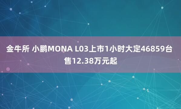 金牛所 小鹏MONA L03上市1小时大定46859台 售12.38万元起